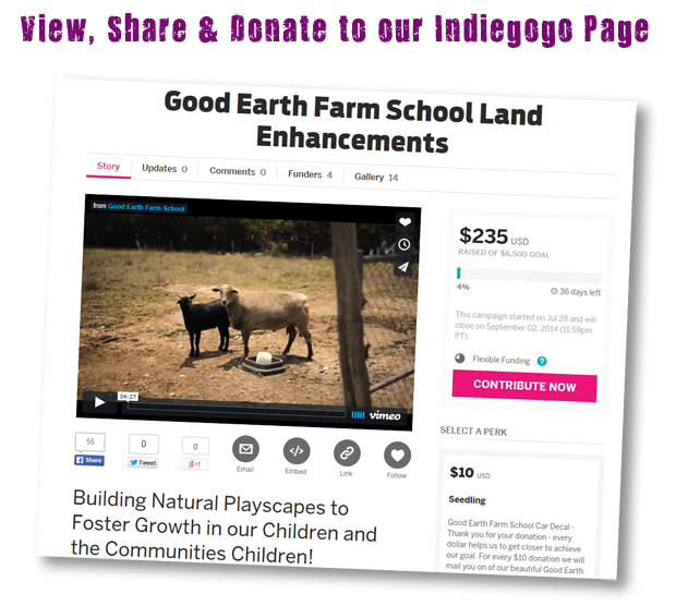 Good Earth Indiegogo Fund